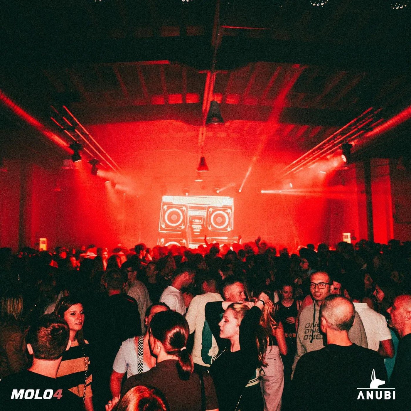Club Night — MOLO4 Anubi